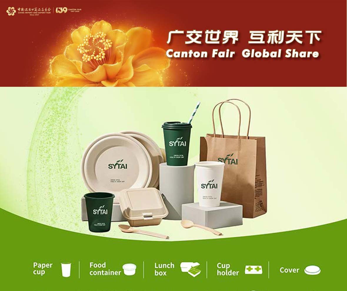 From PE Coating to Paper Cup
